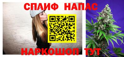 сатива Кунгур