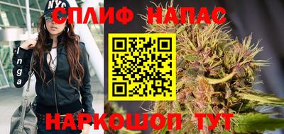 сатива Кунгур