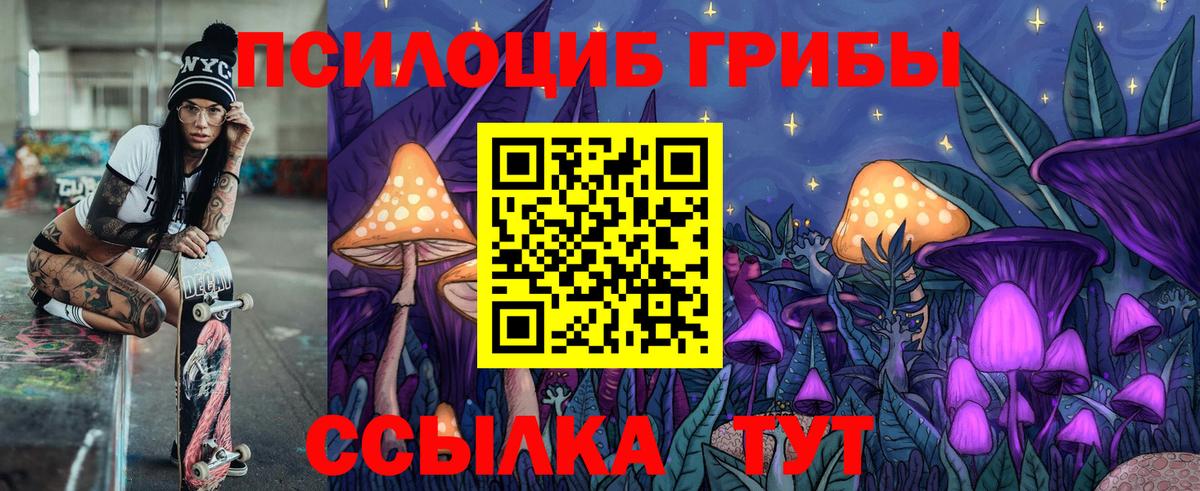 Псилоцибиновые грибы MAGIC MUSHROOMS  купить   Кирово-Чепецк  Псилоцибиновые грибы прущие грибы  Вход с VPN 